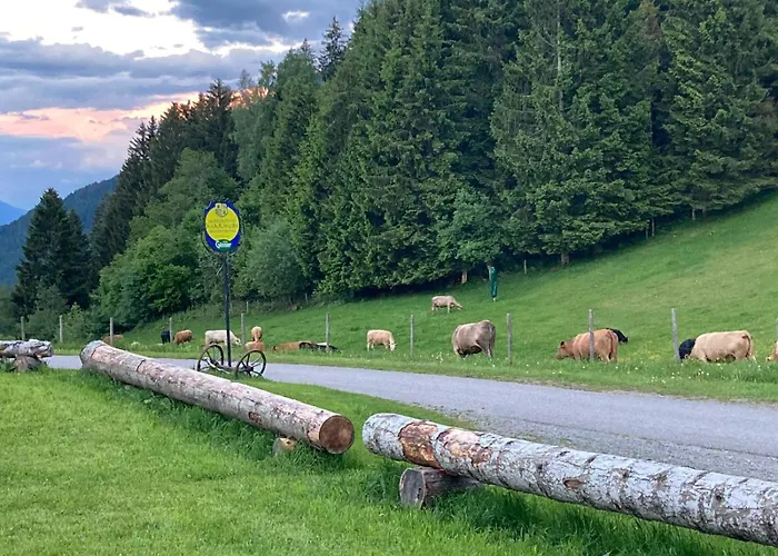 Landgasthof Marhube Homestay *